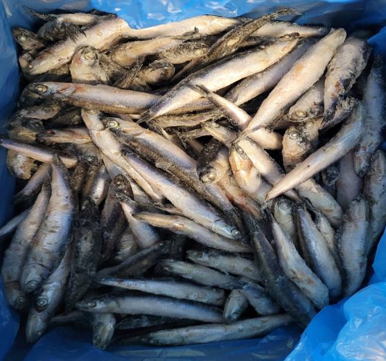 Boquerón entero — imagen de producto
