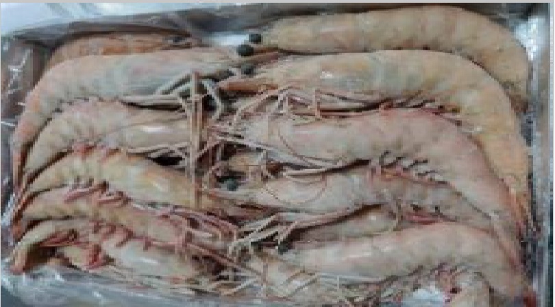 Langostino Brown de Túnez — imagen de producto