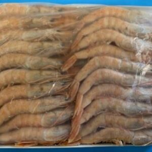 Gamba blanca Turquía 76/95 IQF 12 × 1 kg