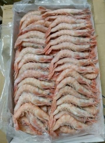 Gamba blanca Túnez G2 -130 IQF 10 × 1 kg
