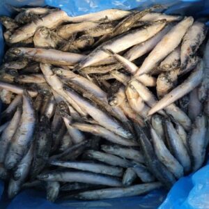 Boquerón entero 50/70 IQF 4 kg AYR