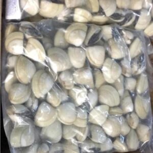 Almeja del Pacífico escaldada 60/80 10 × 1 kg