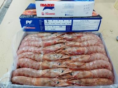 Gambón talla 2 6 × 2 kg RZ