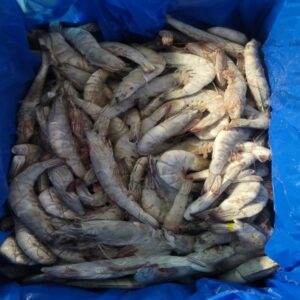 Langostino vannamei 30/40 6 × 2 kg