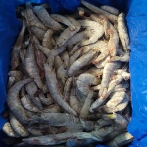 Langostino vannamei 30/40 6 kg