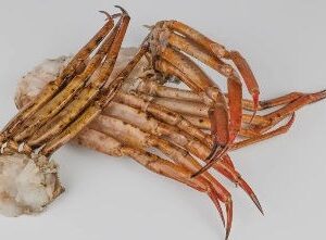 Pecho crudo de cangrejo de Namibia