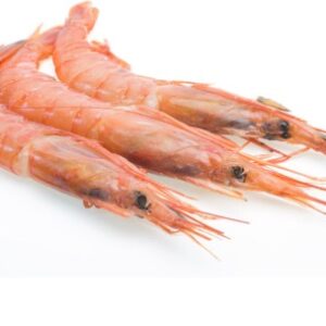 Gamba blanca de Marruecos IQF