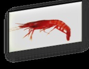 Gamba roja IQF 12 × 1 kg / 6 × 2 kg