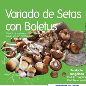 Variado de setas con boletus 10 × 500 g AYR