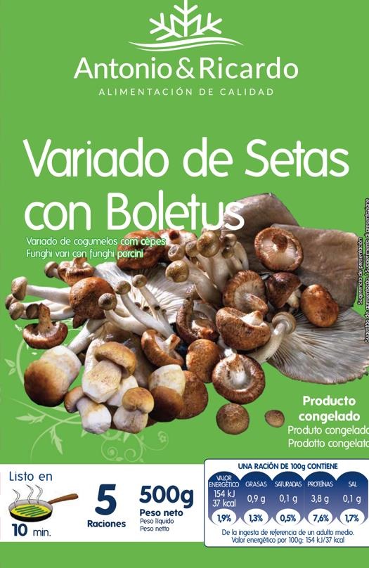 Variado de setas con boletus 10 × 500 g AYR
