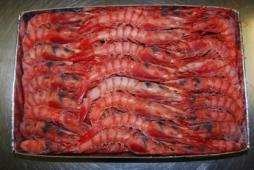 Alistado entero crudo congelado 1-2 kg