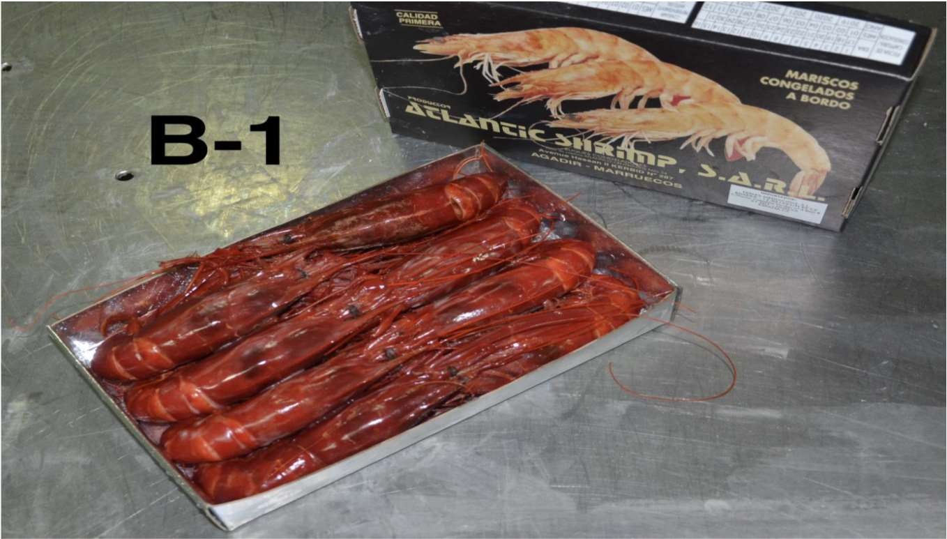Carabinero brillante congelado 1 kg