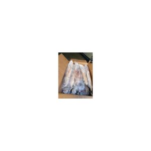 Calamar nacional envuelto GG/G Pacific Fish 10 kg