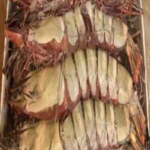 Langostino jumbo congelado a bordo 12 kg Singular Sea